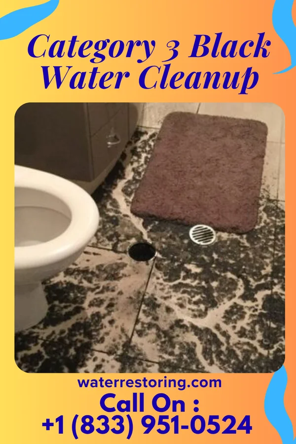 Category 3 Black Water Cleanup in Wyboo, SC