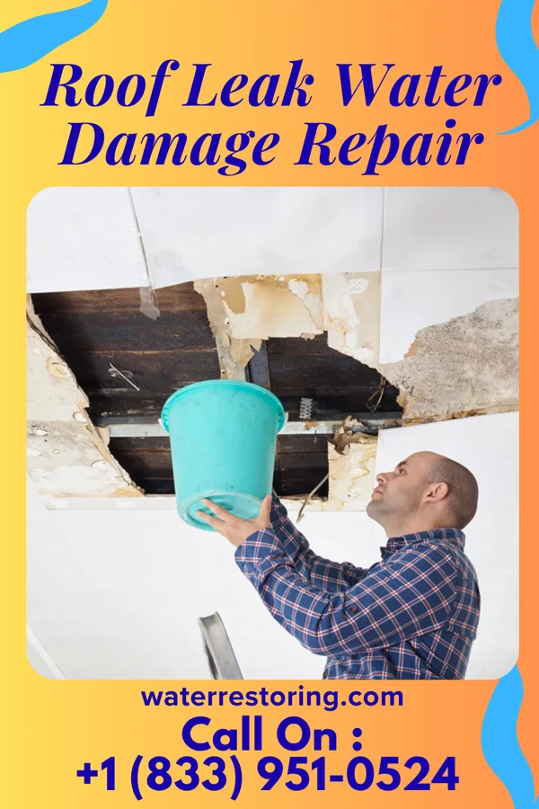 Roof Leak Water Damage Repair in Wyboo, SC